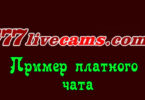 Пример платного чата на 777LIVECAMS.COM